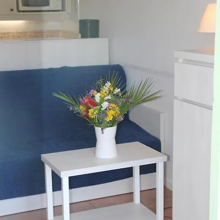 Resort Goelia Le Domaine De La Pinede 4*